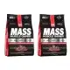 2 x Elite Labs Mass Muscle Gainer 4608 Gr